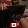 kelleyanngagnon